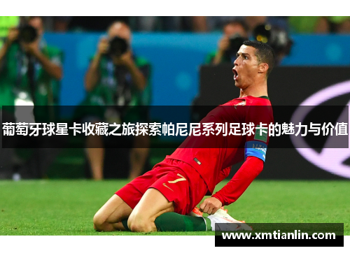 葡萄牙球星卡收藏之旅探索帕尼尼系列足球卡的魅力与价值
