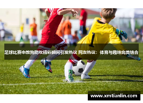 足球比赛中放狗助攻精彩瞬间引发热议 网友热议：体育与趣味完美结合