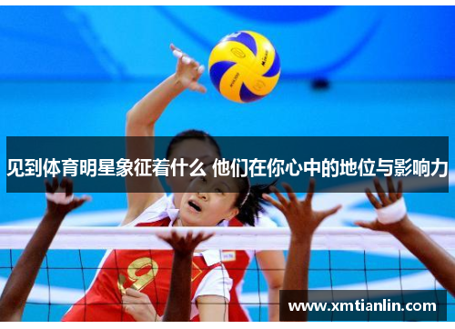 见到体育明星象征着什么 他们在你心中的地位与影响力