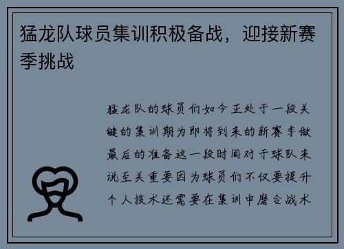 猛龙队球员集训积极备战，迎接新赛季挑战