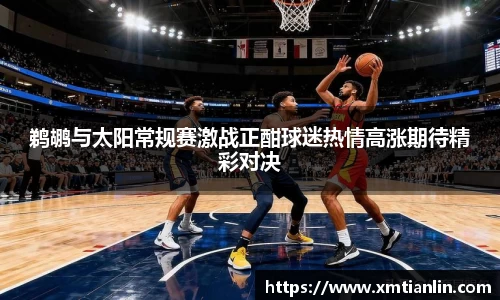 多多28鹈鹕与太阳常规赛激战正酣球迷热情高涨期待精彩对决